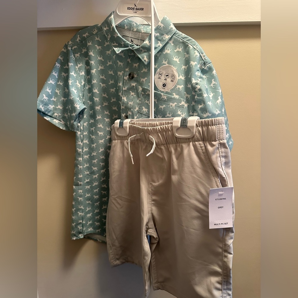 🌲❄️Eddie Bauer Kids Dog Print Pastel Light Teal Green Patterned Shirt